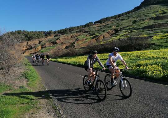 Fantastiske Landskap