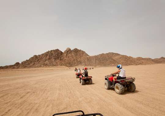 Quad Safari 