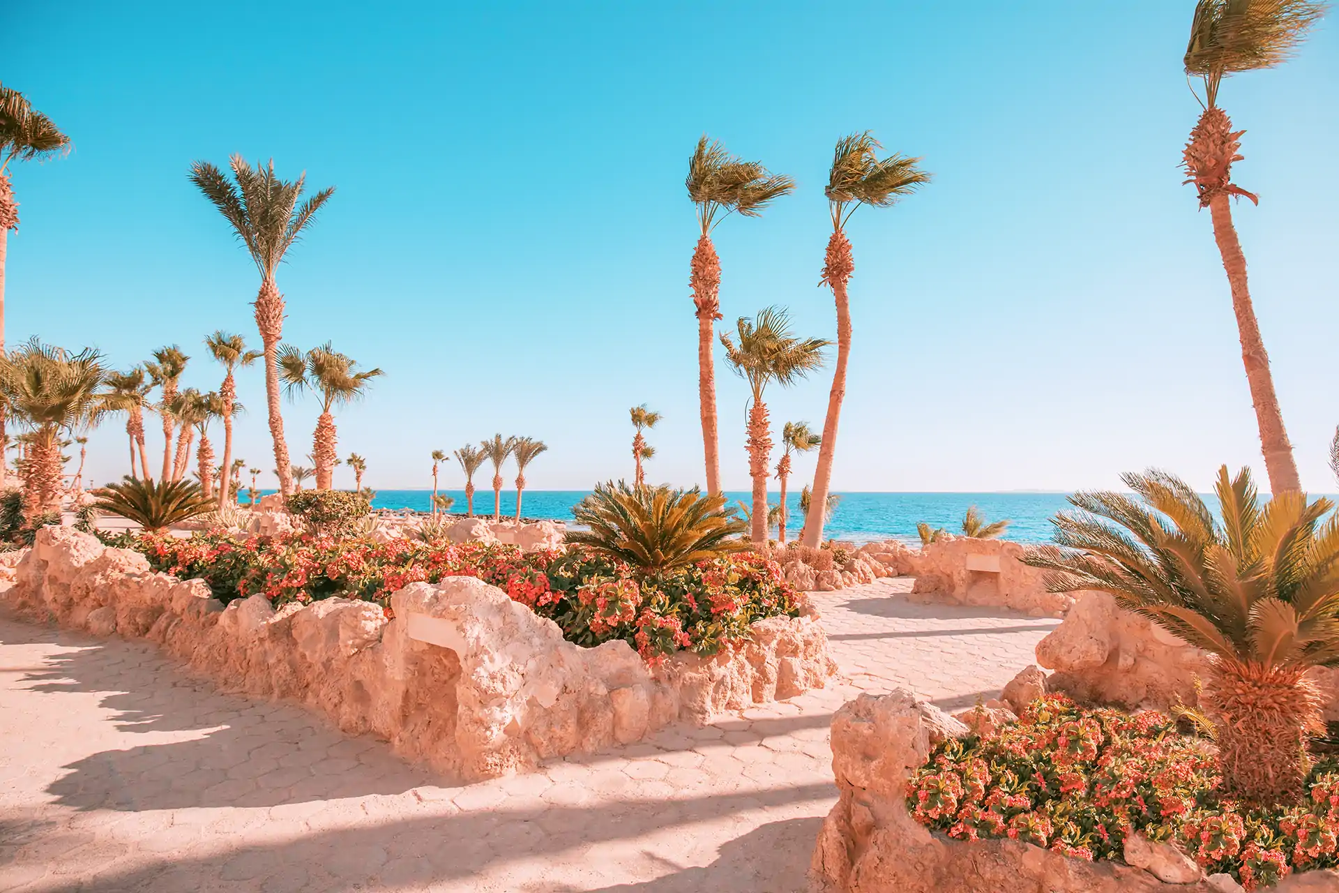 Rejser til Hurghada