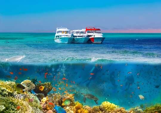 Opplev magien i Ras Mohammed nasjonalpark – båttur