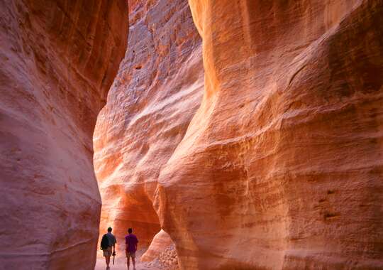 Petra, Jordan - en unik heldagstur med Amisol Travel