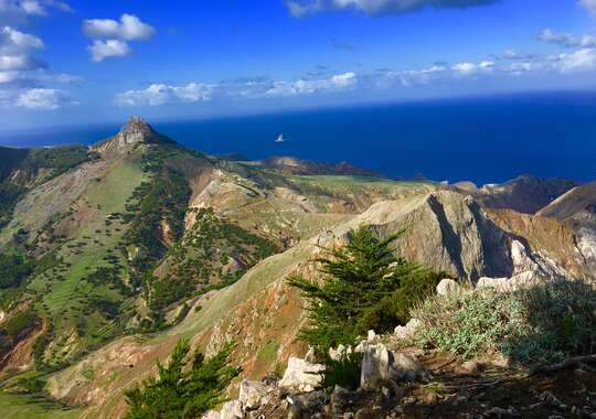 Fremragende Kulinarisk Opplevelse