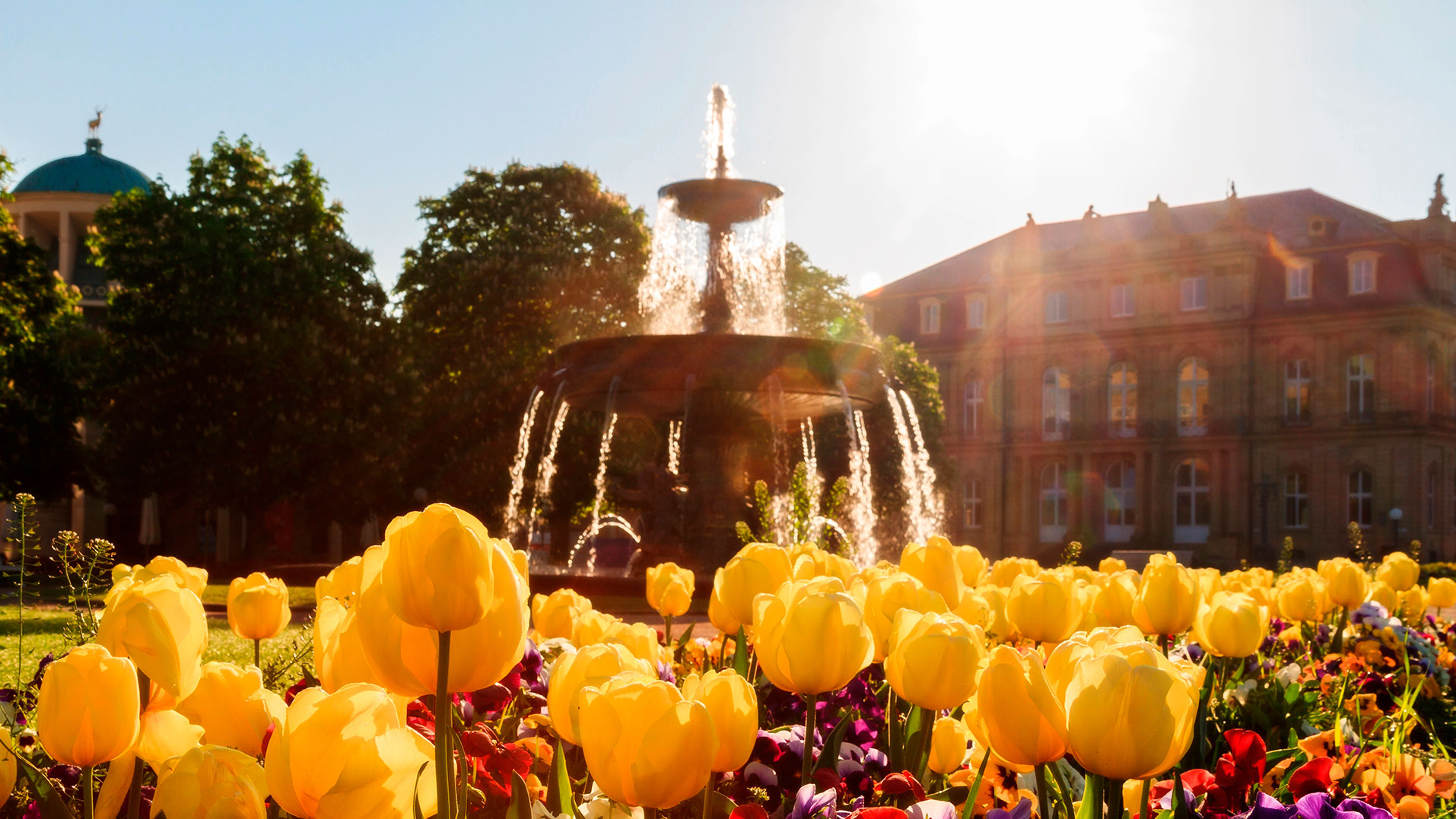 DIRECT FLIGHT FROM LAMEZIA TERME, CALABRIA TO OSLO, NORWAY WITH SAS