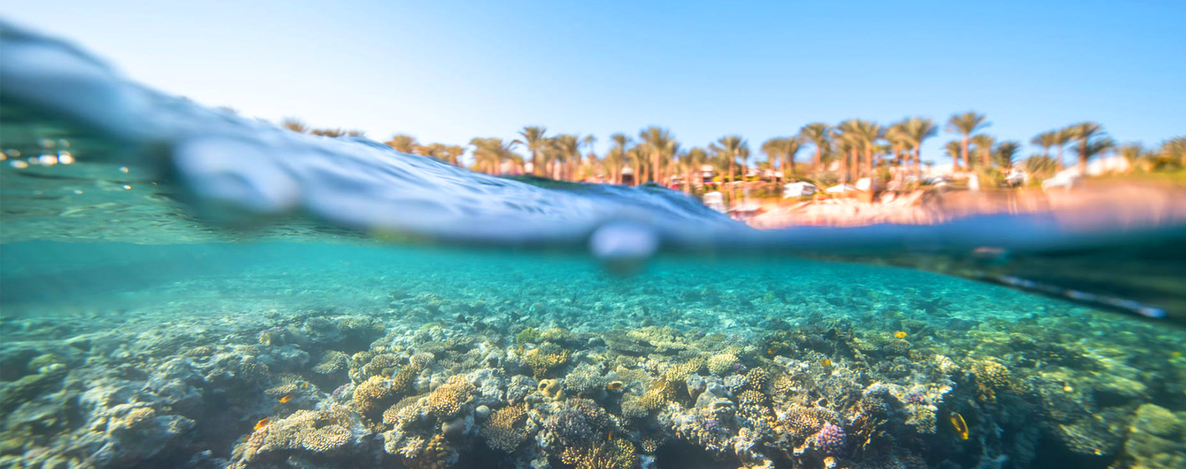 RESTPLASSER 2023/2024 